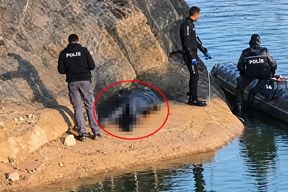 Adana'da balık tutarken Seyhan Baraj Gölü'ne düşen genç hayatını kaybetti