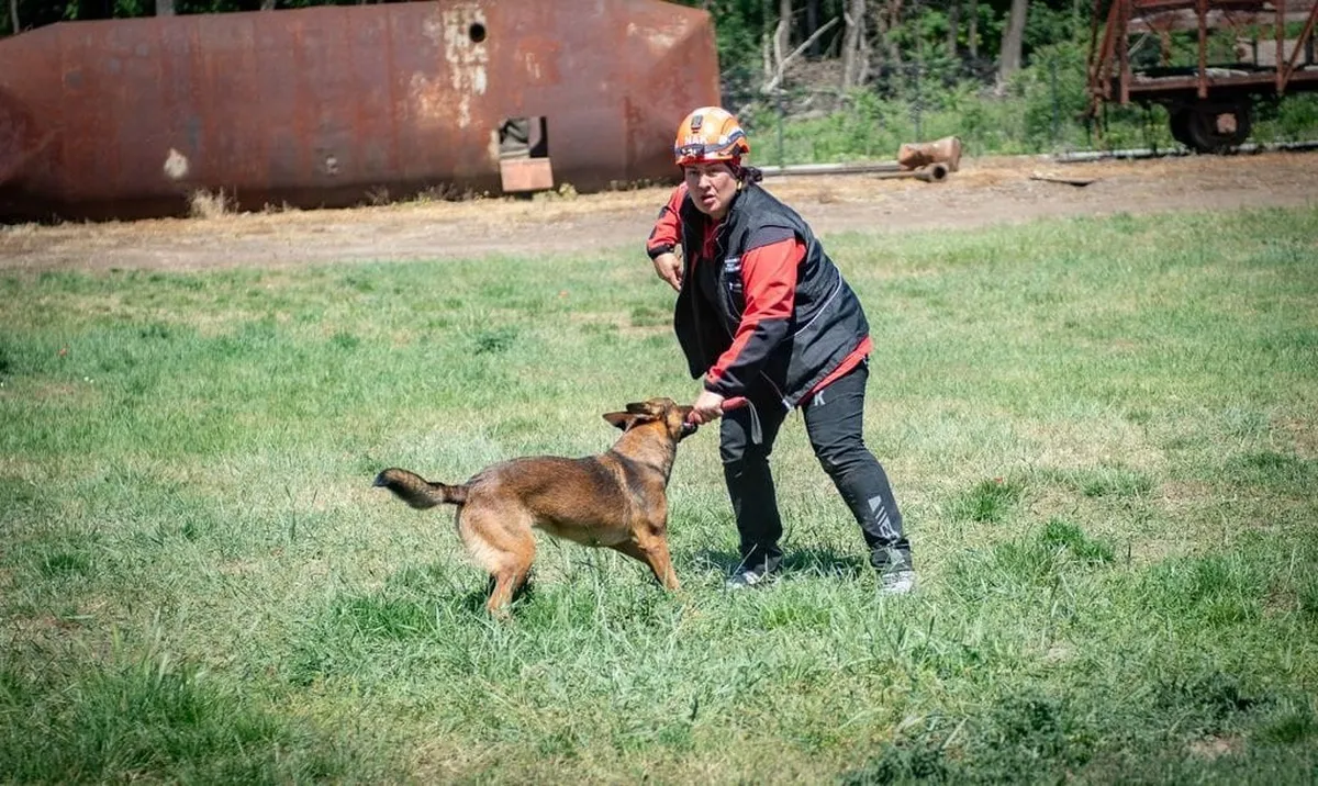 Afyonkarahisar'da düzenlenen arama kurtarma köpekleri sınavları tamamlandı