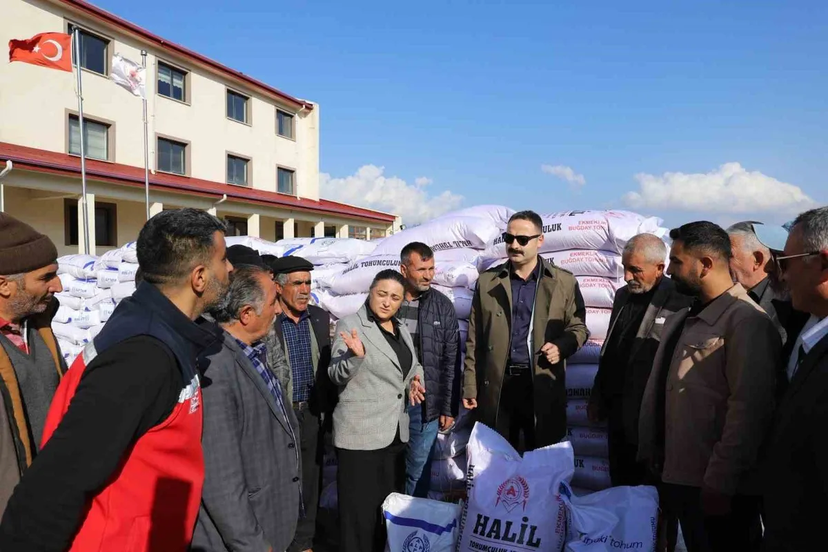 Ağrı'nın Doğubayazıt ilçesinde çiftçilere 20 ton buğday tohumu desteği
