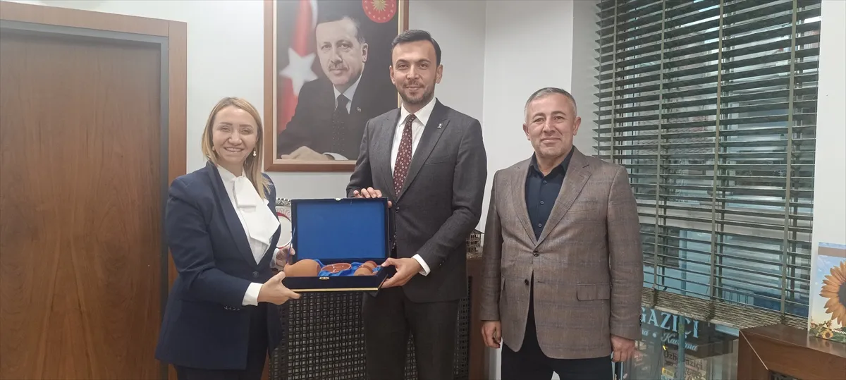 AK Parti Genel Merkez İl Koordinatörü Mustafa Toklu Pazaryeri'nde incelemelerde bulundu