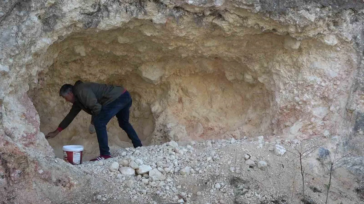 Amasya'da köylüler geleneksel pekmez üretimi için dağları oyuyor
