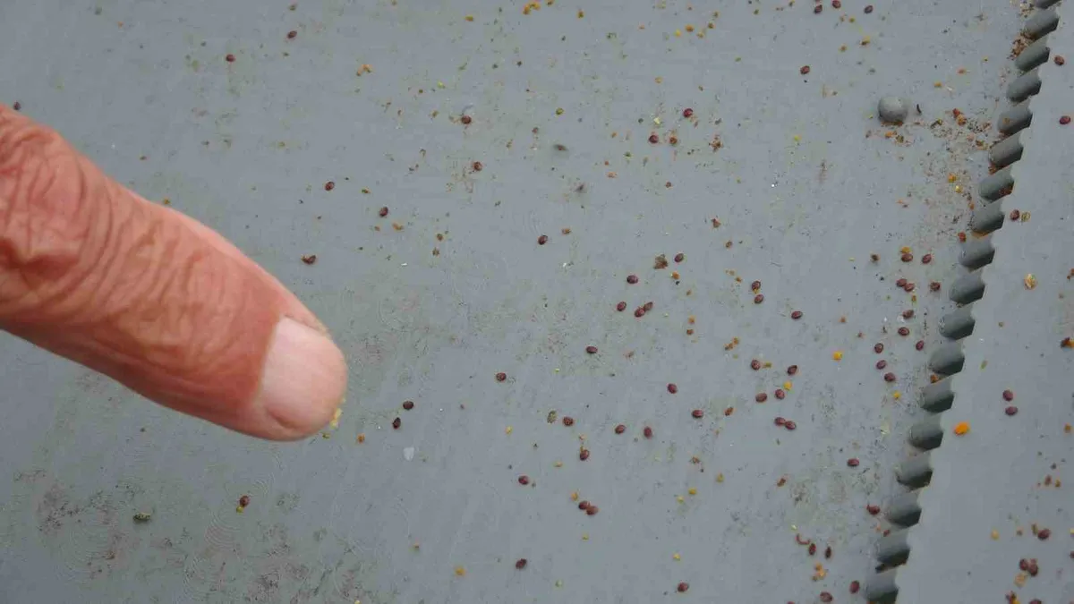 Ardahan'da arıcılara kış öncesi varroa ve kovan bakımı konusunda uyarılar