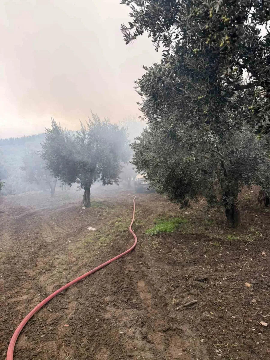 Balıkesir Erdek'te zeytinlik içindeki müstakil evde yangın çıktı