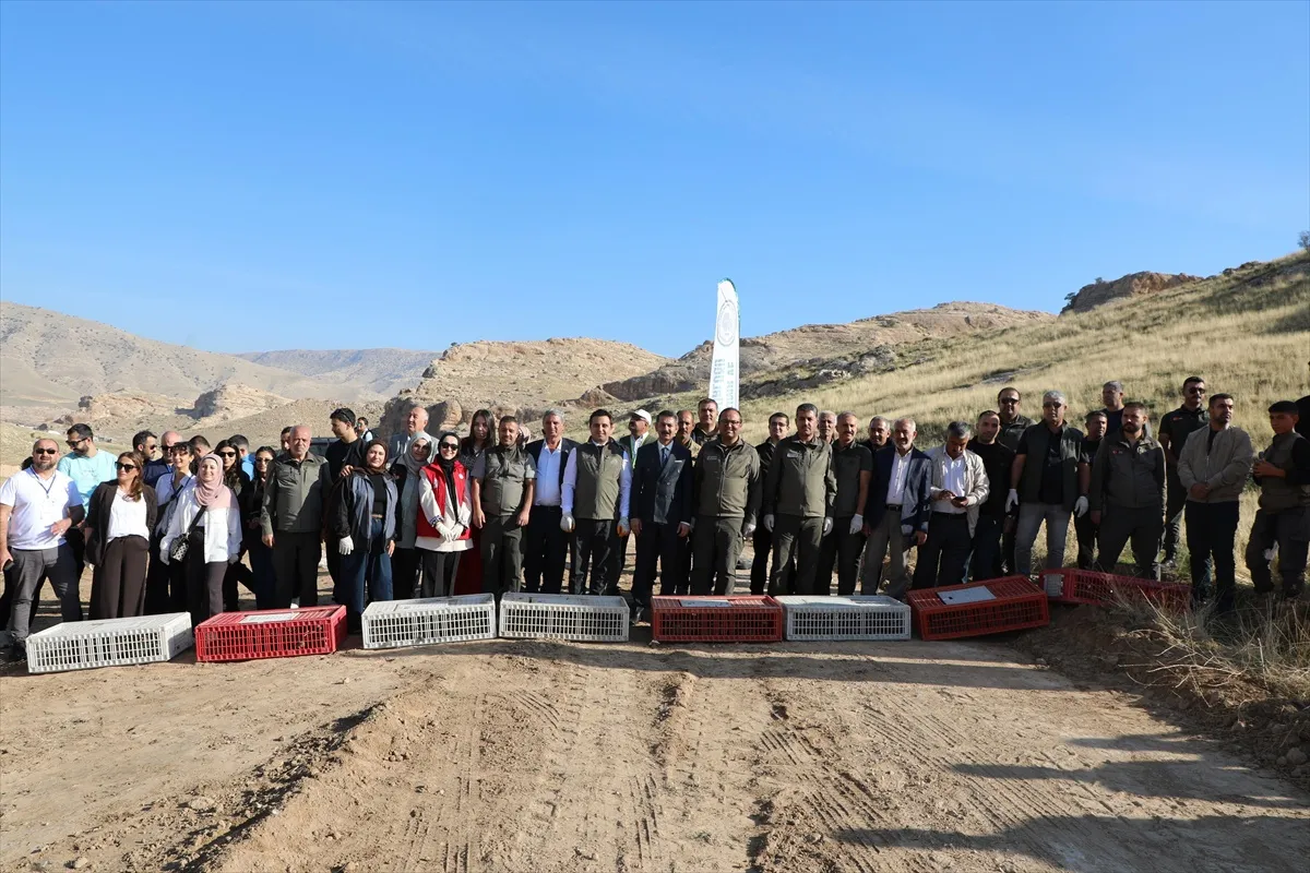 Batman Hasankeyf'te yaban hayatını desteklemek için doğaya salım yapıldı