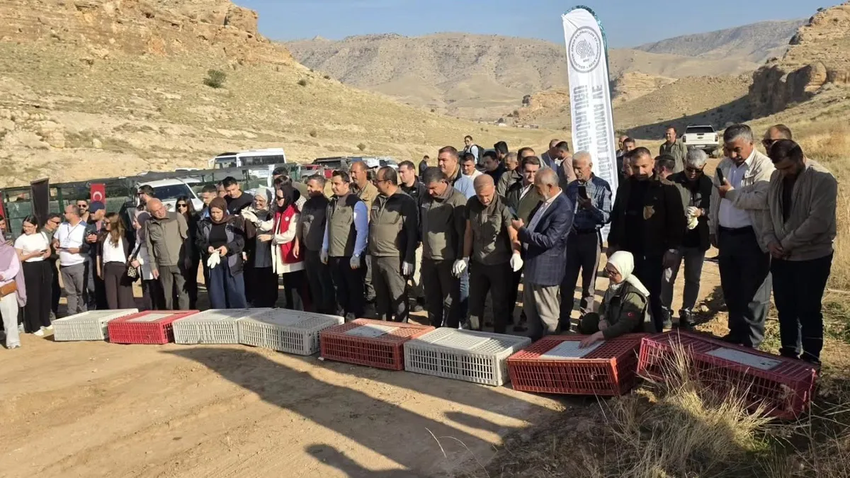 Batman'da yaban hayatını desteklemek amacıyla 300 keklik doğaya bırakıldı