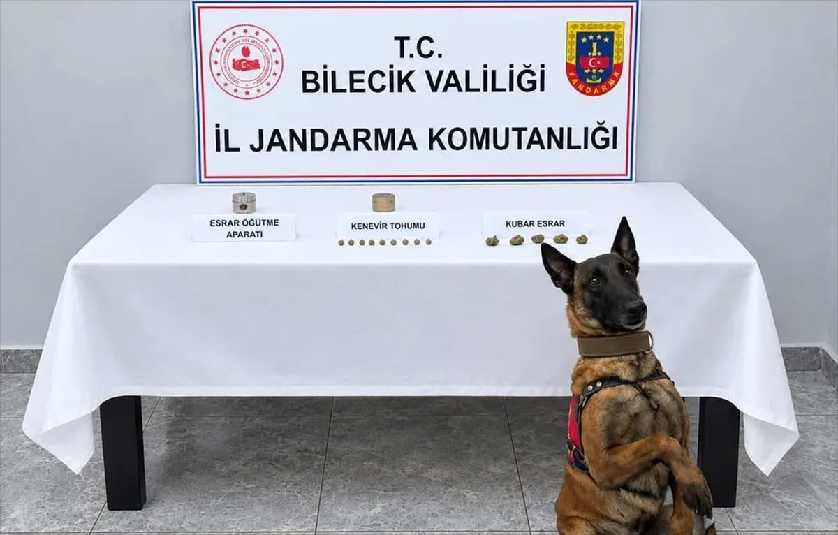 Bilecik Pazaryeri'nde jandarmadan uyuşturucu operasyonu: bir şüpheli yakalandı