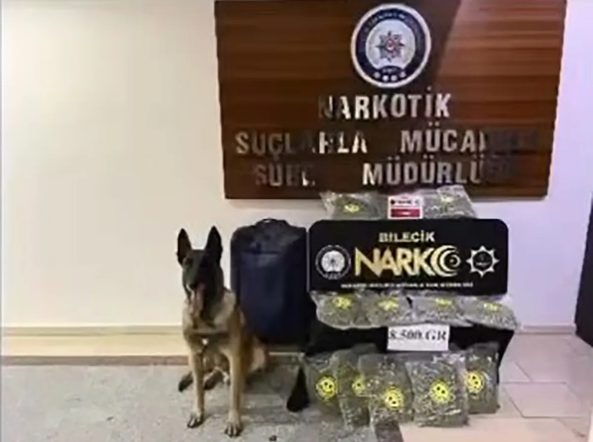Bilecik'te otomobilde yapılan aramada 8,5 kilo skunk maddesi ele geçirildi