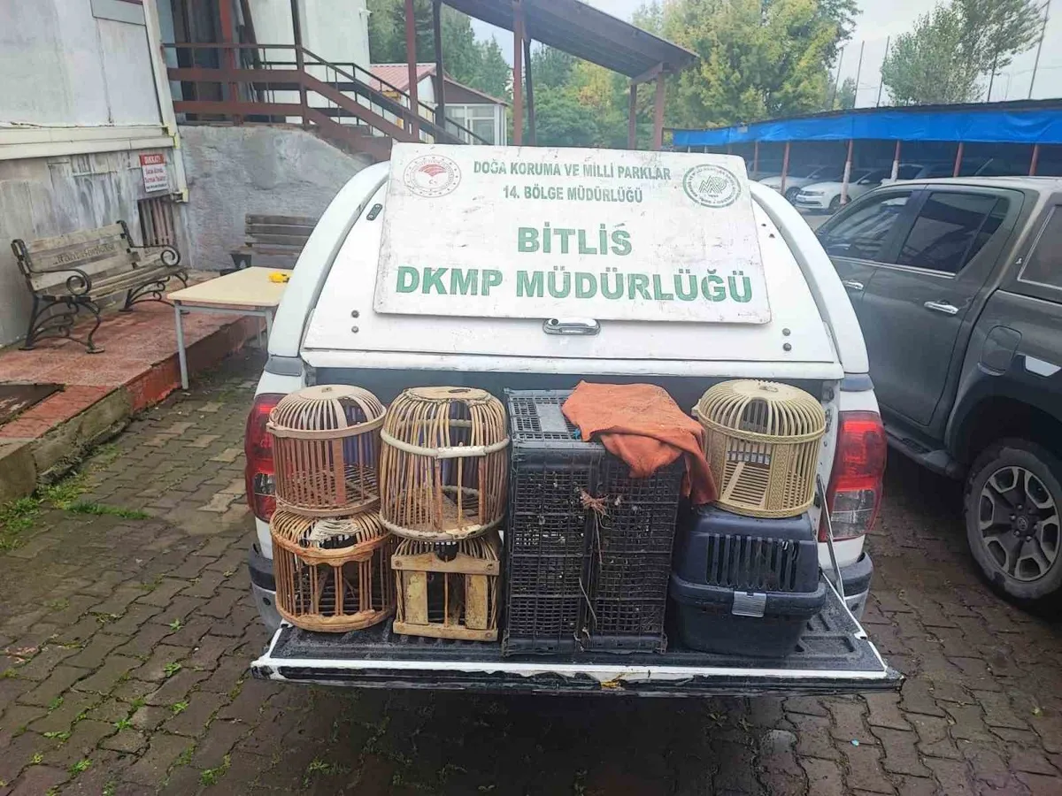 Bitlis'in Güroymak ilçesinde göçer çadırlarına kaçak keklik baskını düzenlendi