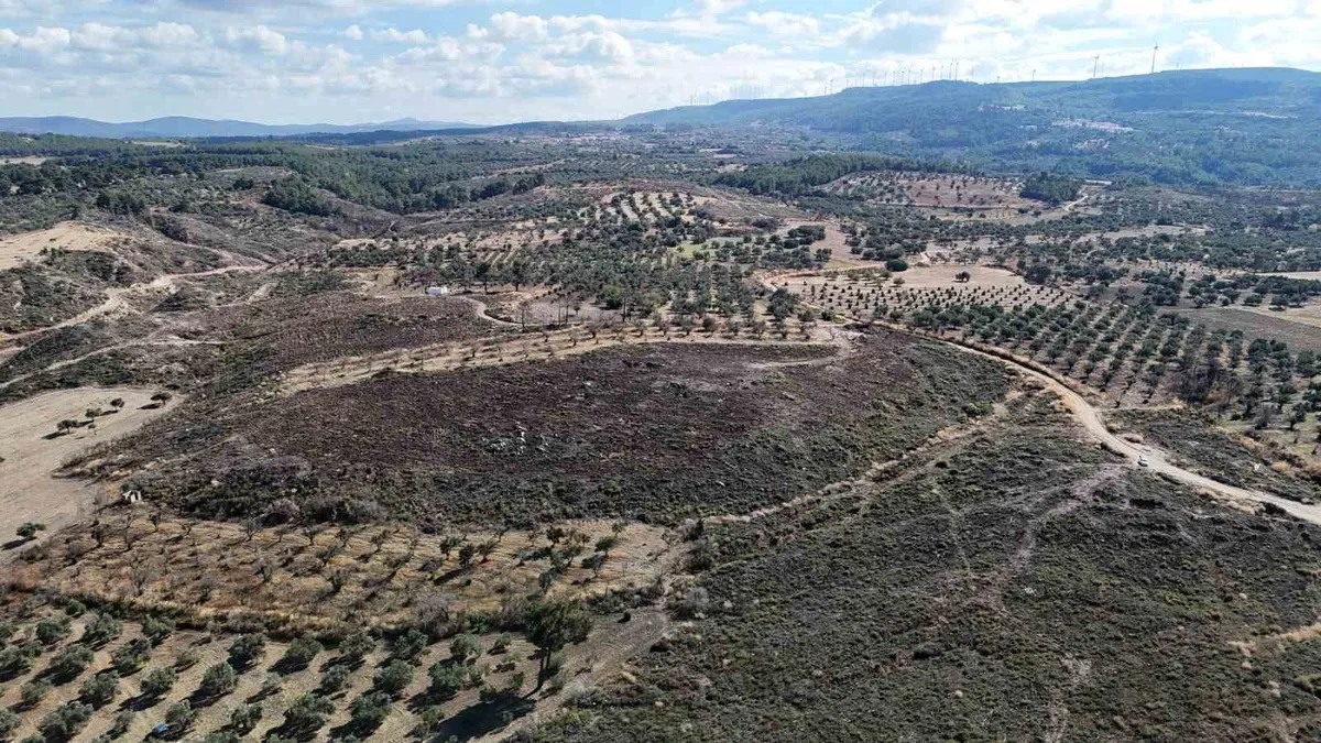 Çanakkale Güzelyalı'da orman yangınının izleri siliniyor: Bölge yeniden yeşerdi
