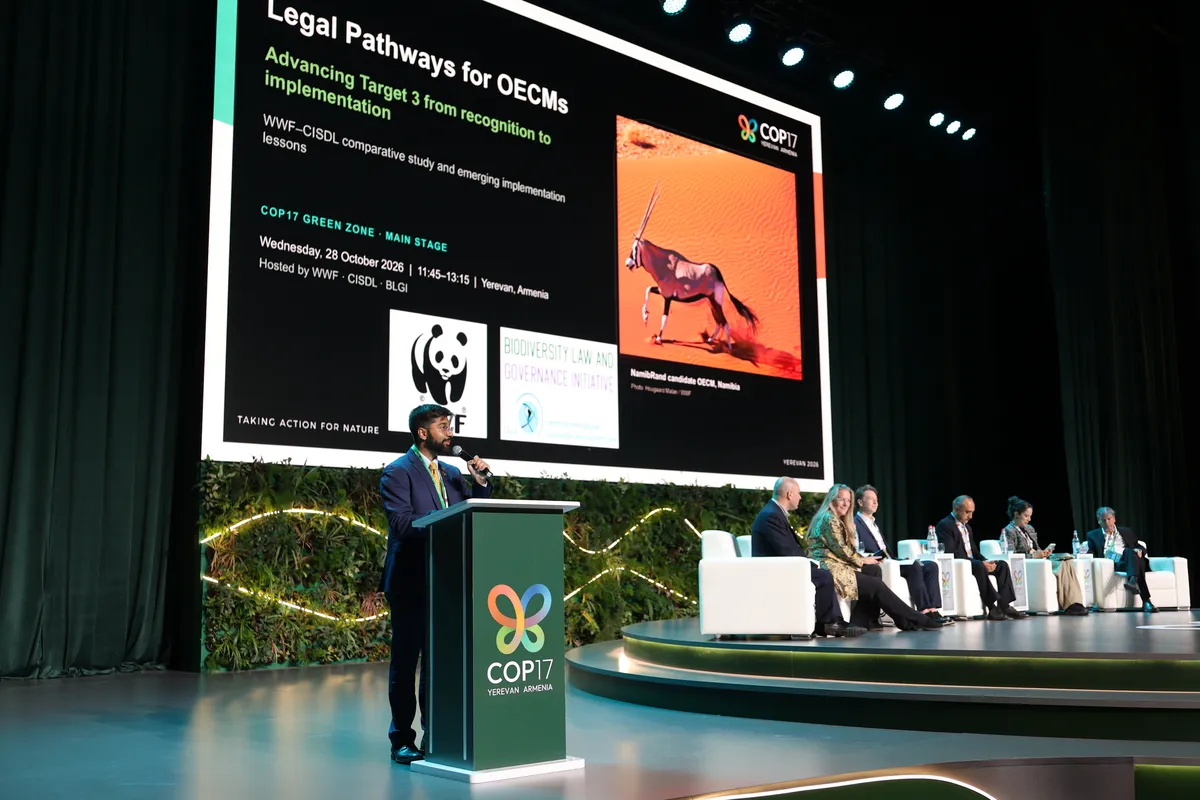 Erivan'daki COP17 konferansında 2030 biyoçeşitlilik hedeflerine dair uyarı