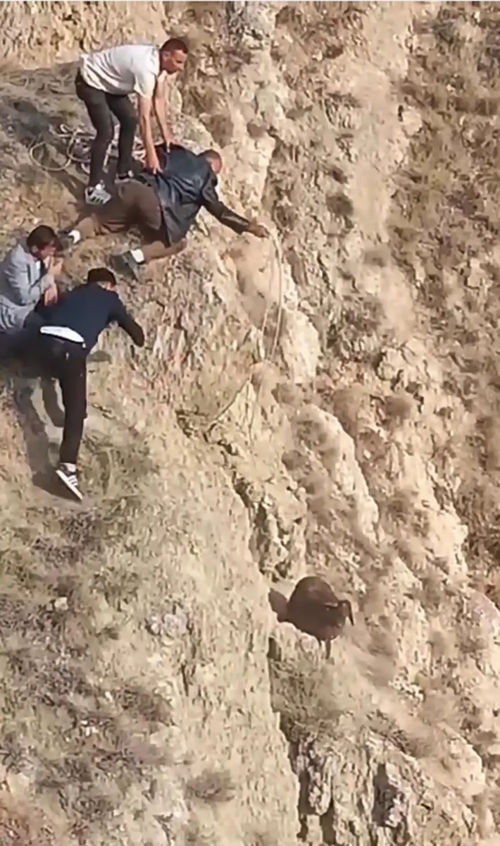 Erzurum'un Narman ilçesinde kurtlardan kaçan koyunu gençler kurtardı