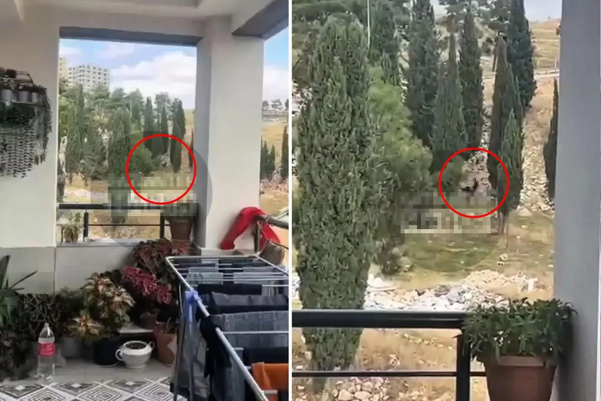 Gaziantep'in Sacır Mahallesi'nde sokak ortasındaki uygunsuz görüntülere tepki