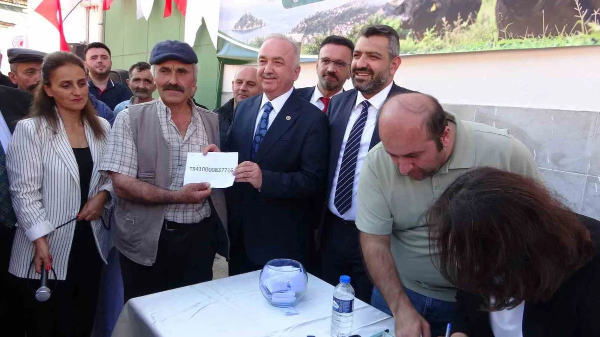 Giresun'da 25 yetiştiriciye damızlık manda boğası desteği verildi
