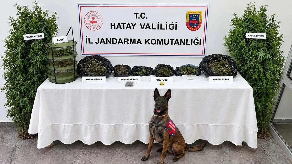 Hatay'ın Defne ilçesinde düzenlenen uyuşturucu operasyonunda 1 kişi yakalandı