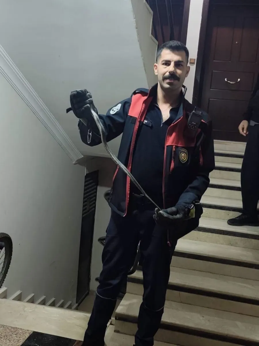 Hatay'ın Defne ilçesinde evlerin arasında görülen yılan doğaya salındı