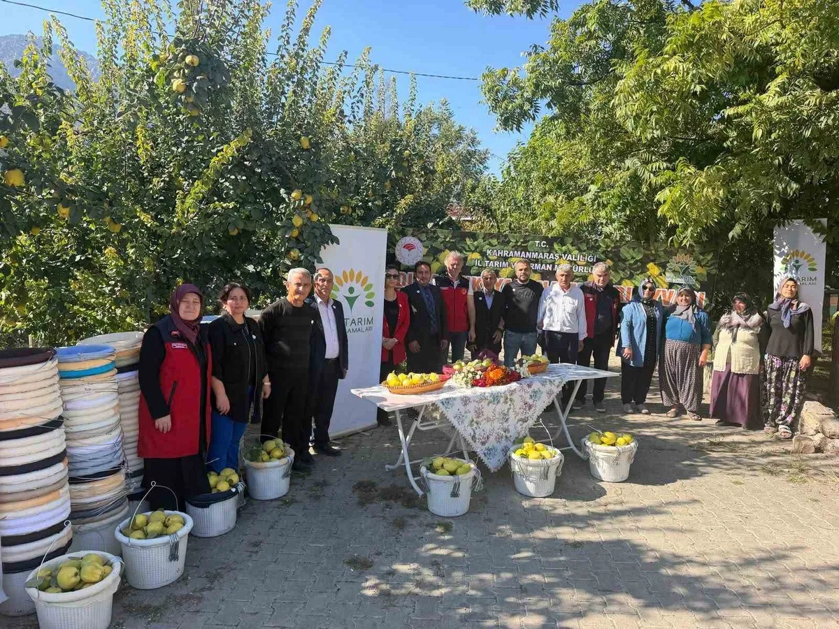 Kahramanmaraş Onikişubat'ta ayva üreticilerine hasat ekipmanı desteği verildi