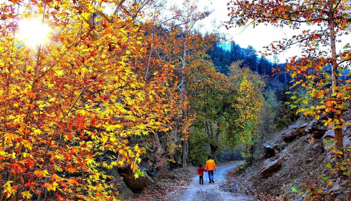 Kahramanmaraş'ın Göksun ilçesinde sonbahar renkleri görsel şölen oluşturuyor