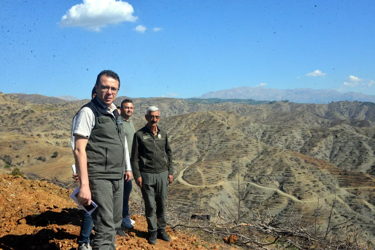 Kahramanmaraş'ta orman yangınının bilançosu: 600 milyon lirayı aştı