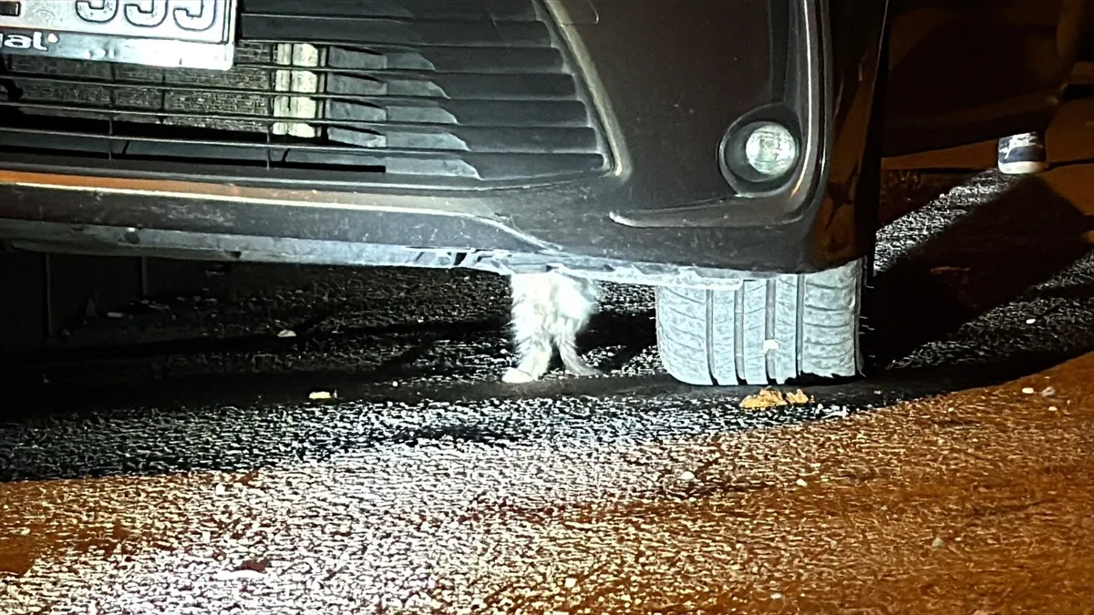 Karabük 5000 Evler Mahallesi'nde otomobilin altına sıkışan kedi kurtarıldı