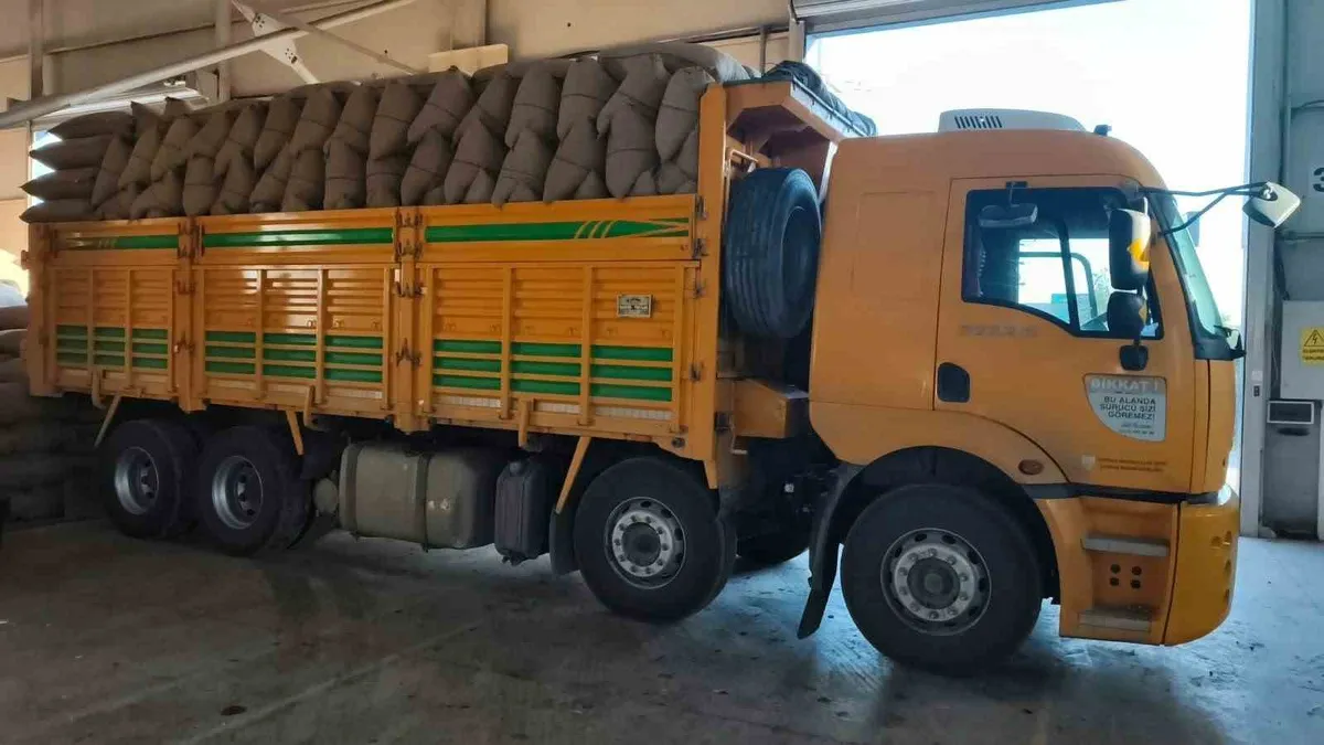 Kastamonu İnebolu'da TMO 200 üreticiden 100 tonu aşkın fındık alımı gerçekleştirdi