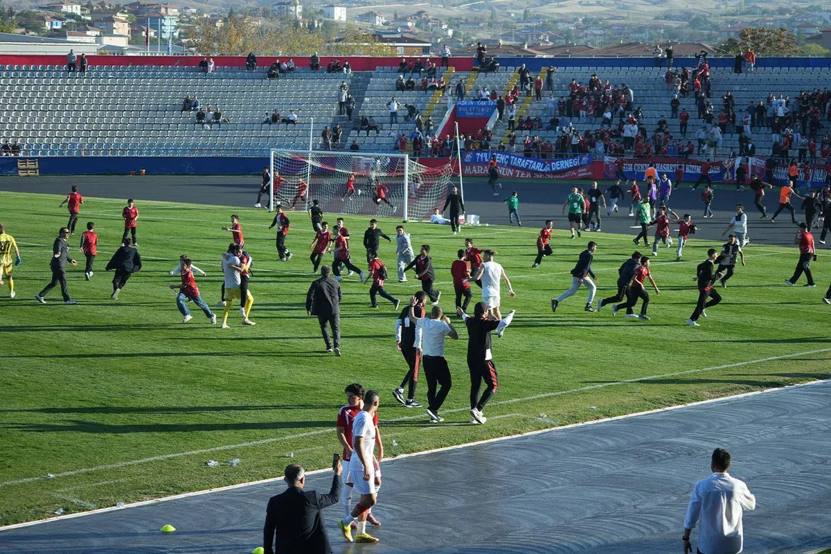 Kırıkkale FK ile Osmaniyespor maçında gol sonrası sahaya taraftar indi