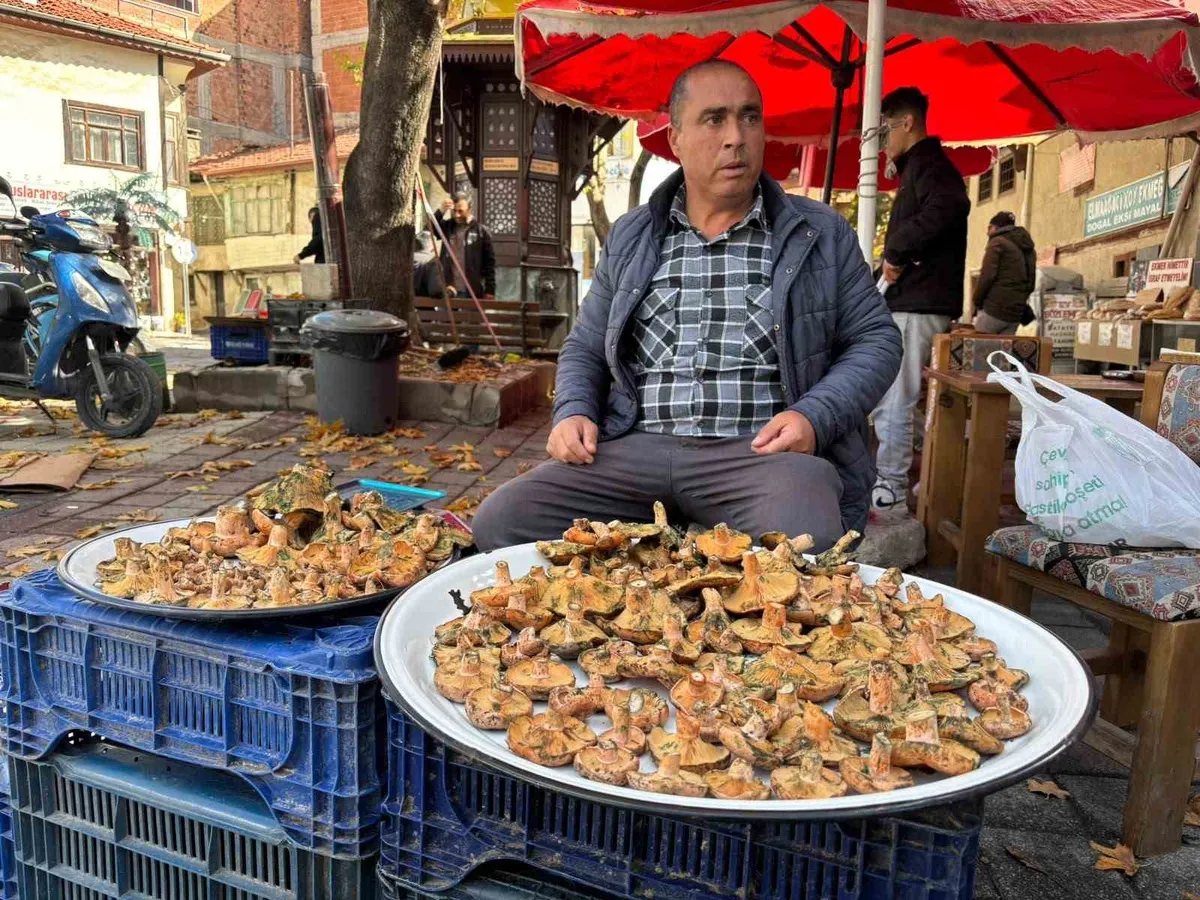 Kütahya Tavşanlı'da dağ mantarı tezgahlarda 350 liradan satışa sunuluyor