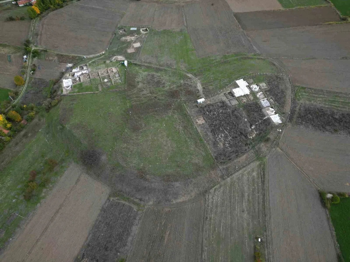 Kütahya'daki Tavşanlı Höyük'te 4 bin yıllık köpek pati izleri bulundu