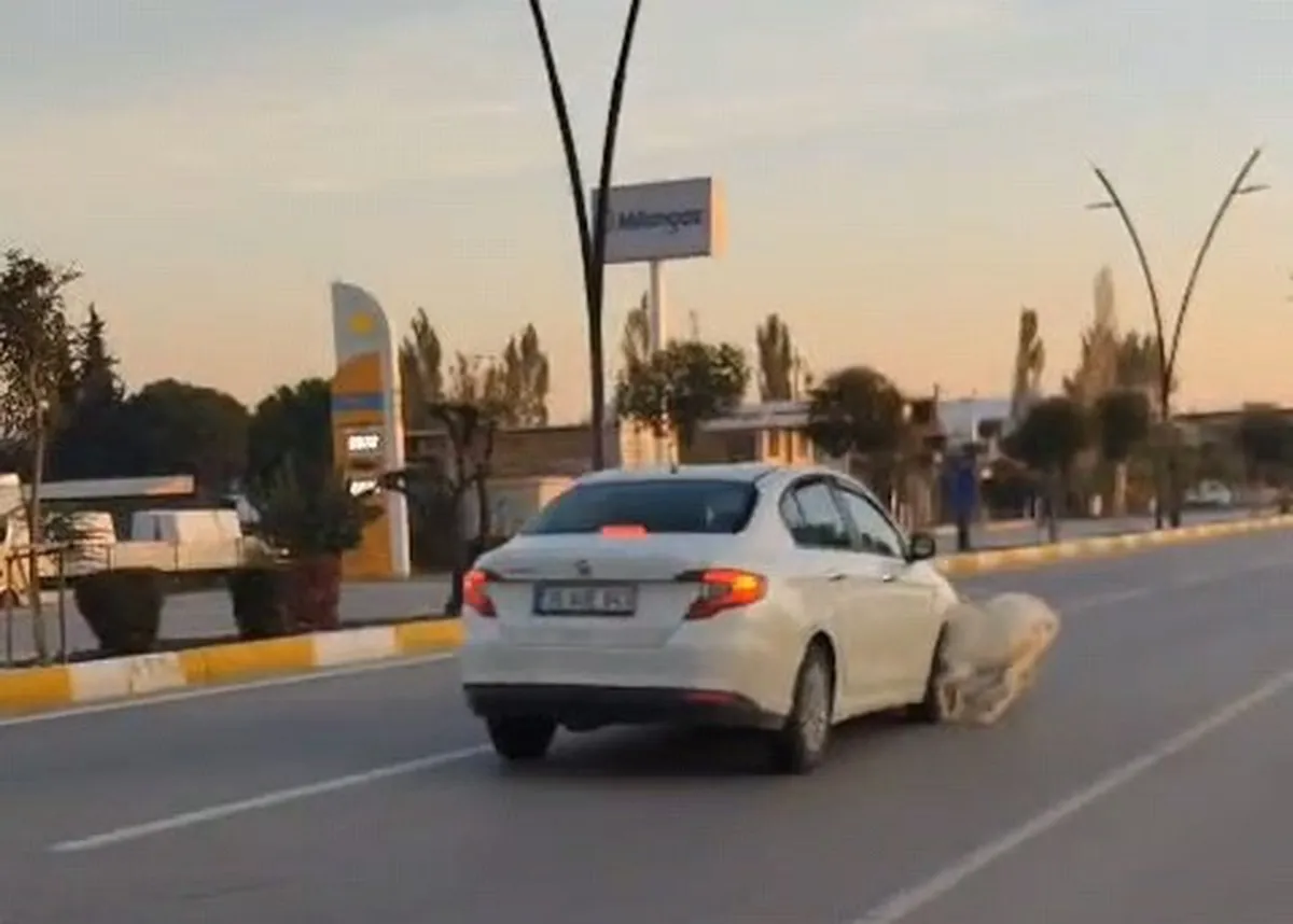 Manisa Akhisar'da otomobil sürüüsü küçükbaş hayvanlara çarptı: 3 keçi telef oldu