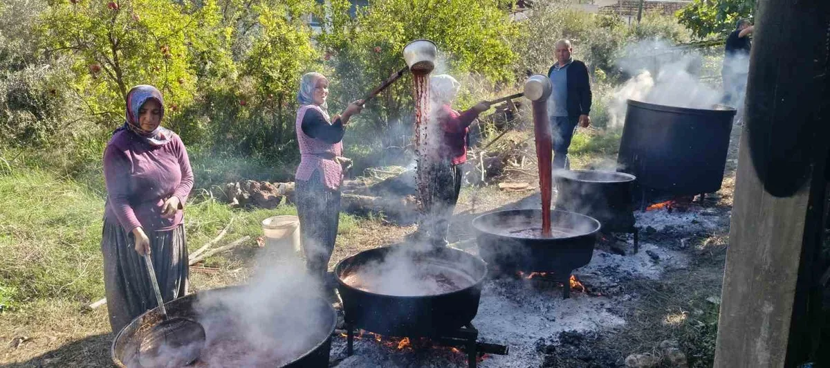 Mersin Silifke'de nar hasadı heyecanı ve geleneksel nar ekşisi üretimi