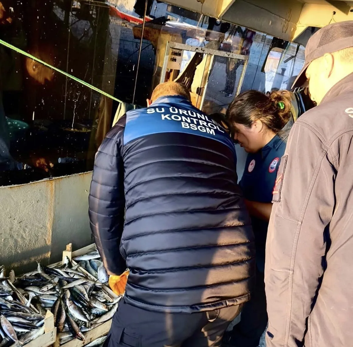Mersin'de balıkçı barınaklarında yasa dışı avcılığa karşı sıkı denetimler