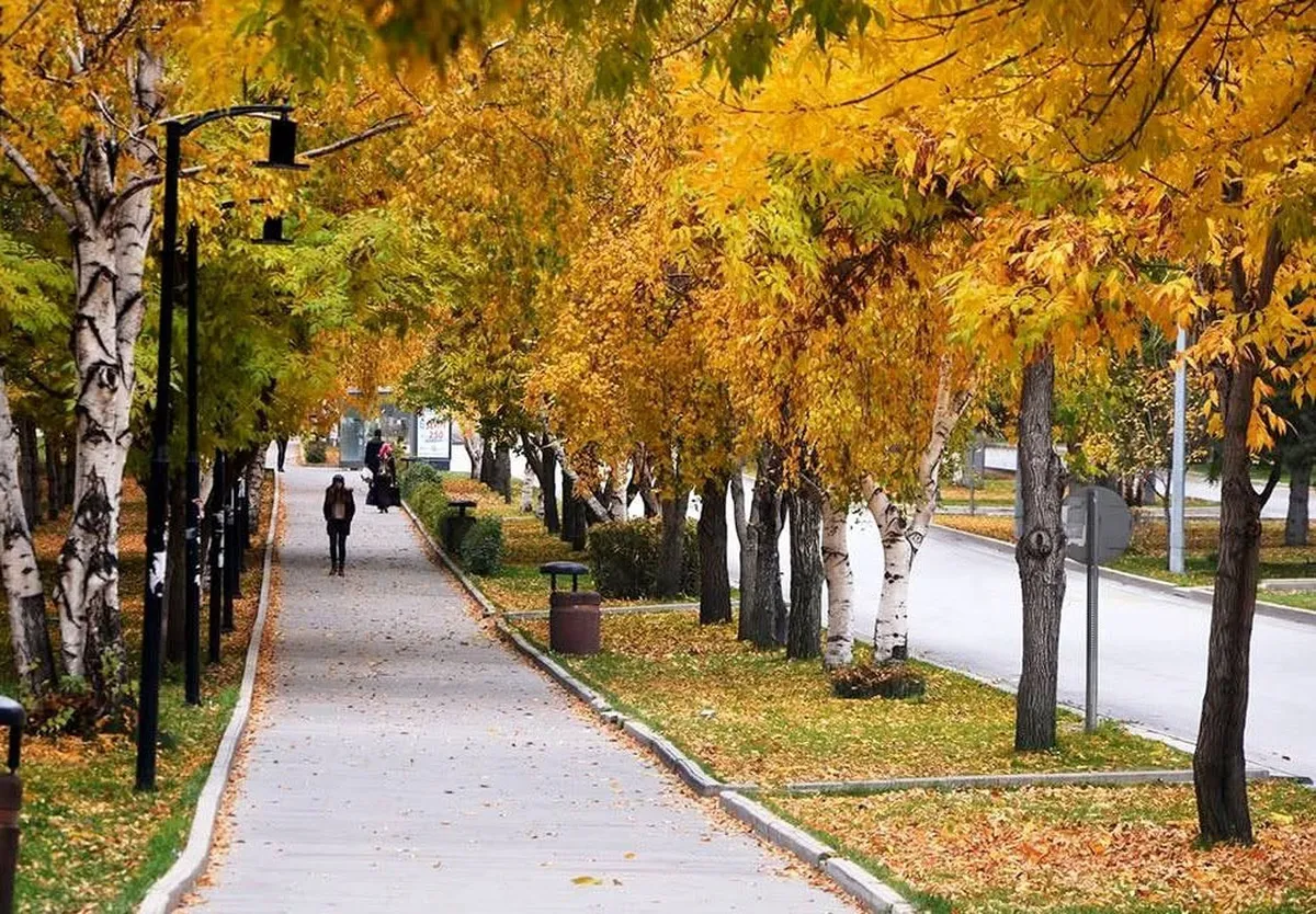 Meteoroloji'den Erzurum ve Ardahan için yağış ve sis uyarısı