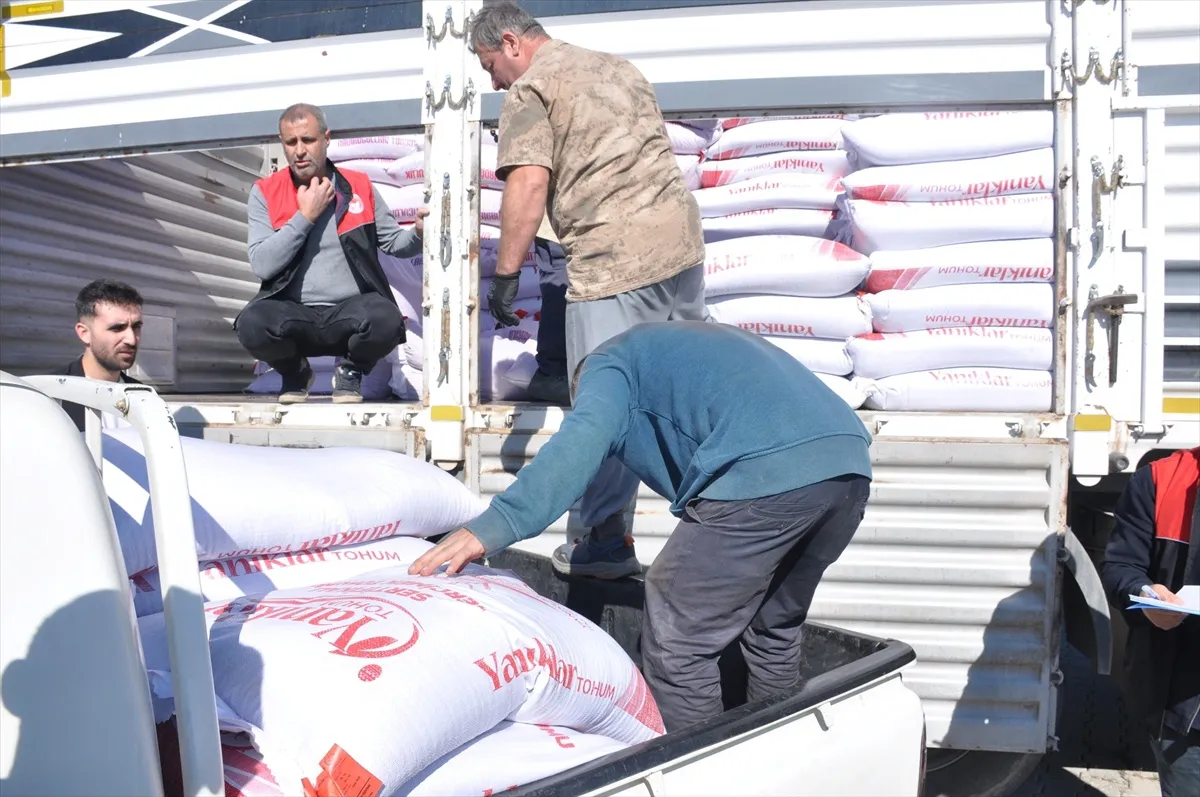 Muş'ta 250 üreticiye yüzde 75 hibeli 150 ton mercimek ve nohut tohumu desteği