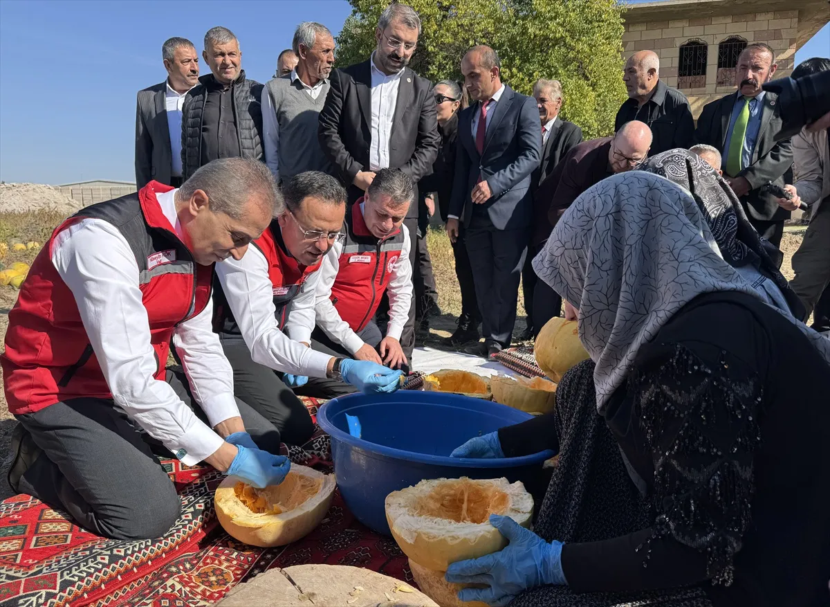 Nevşehir'de coğrafi işaretli kabak çekirdeğinde 47 bin tonluk rekor hasat