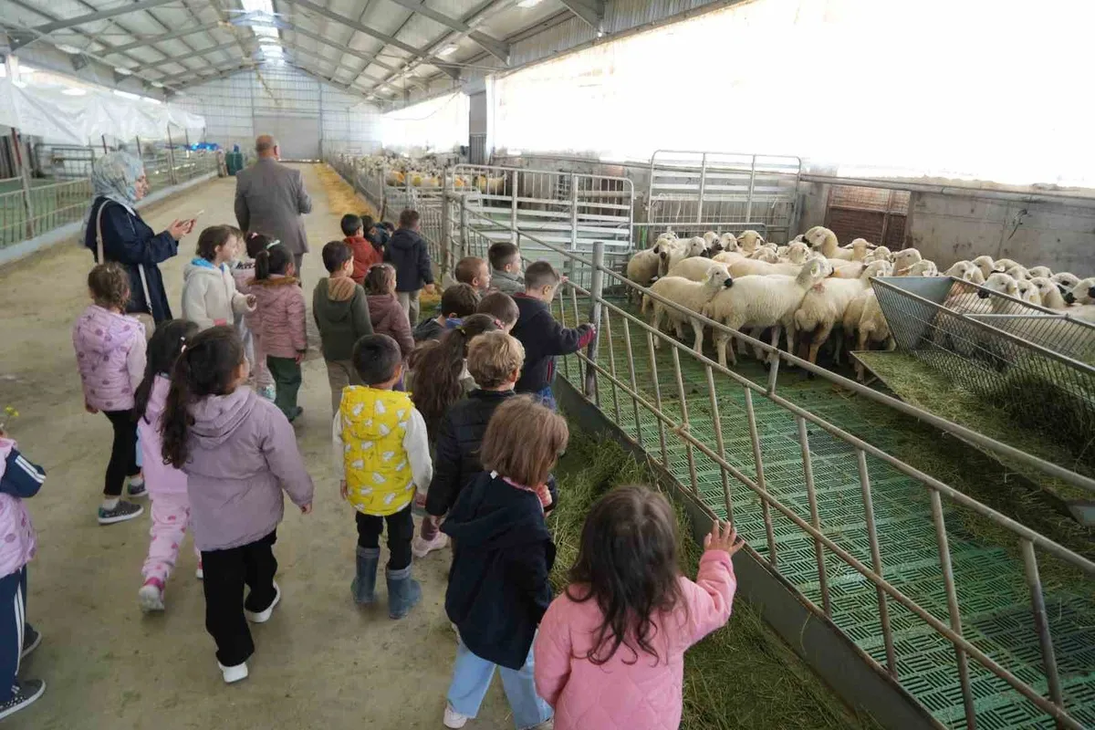 Niğde'de anaokulu öğrencileri tarım ve hayvancılık tesislerini gezdi