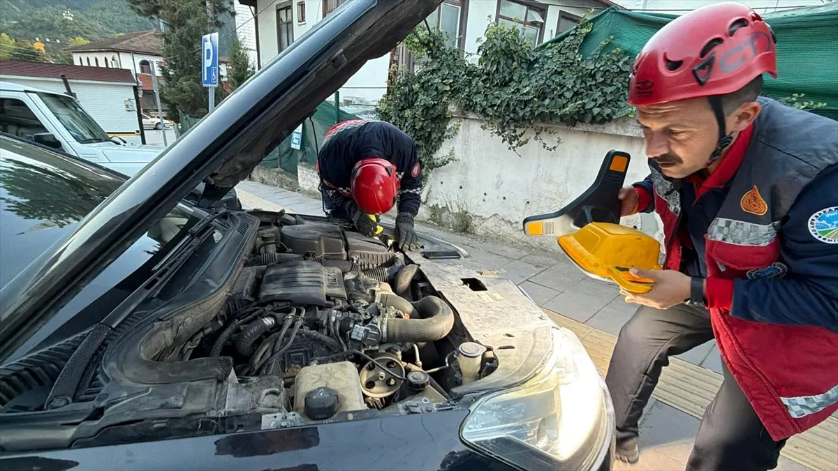 Sakarya Taraklı'da otomobilin motoruna sıkışan yavru kedi kurtarıldı