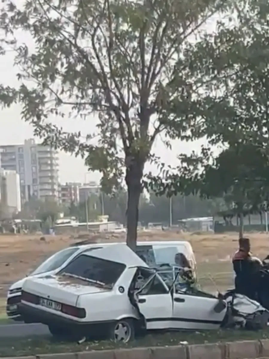 Şanlıurfa Siverek'te ağaca çarpan otomobil ikiye bölündü: 3 yaralı