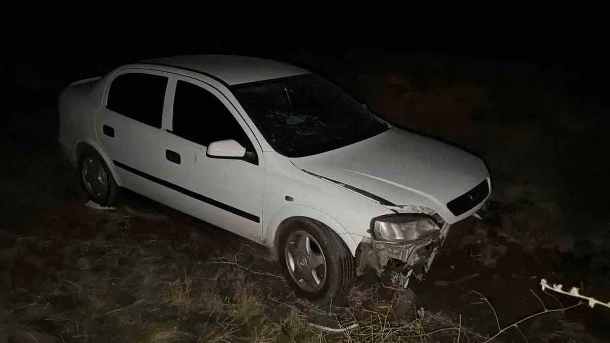 Şanlıurfa'nın Siverek ilçesinde otomobil şarampole devrildi: 3 yaralı