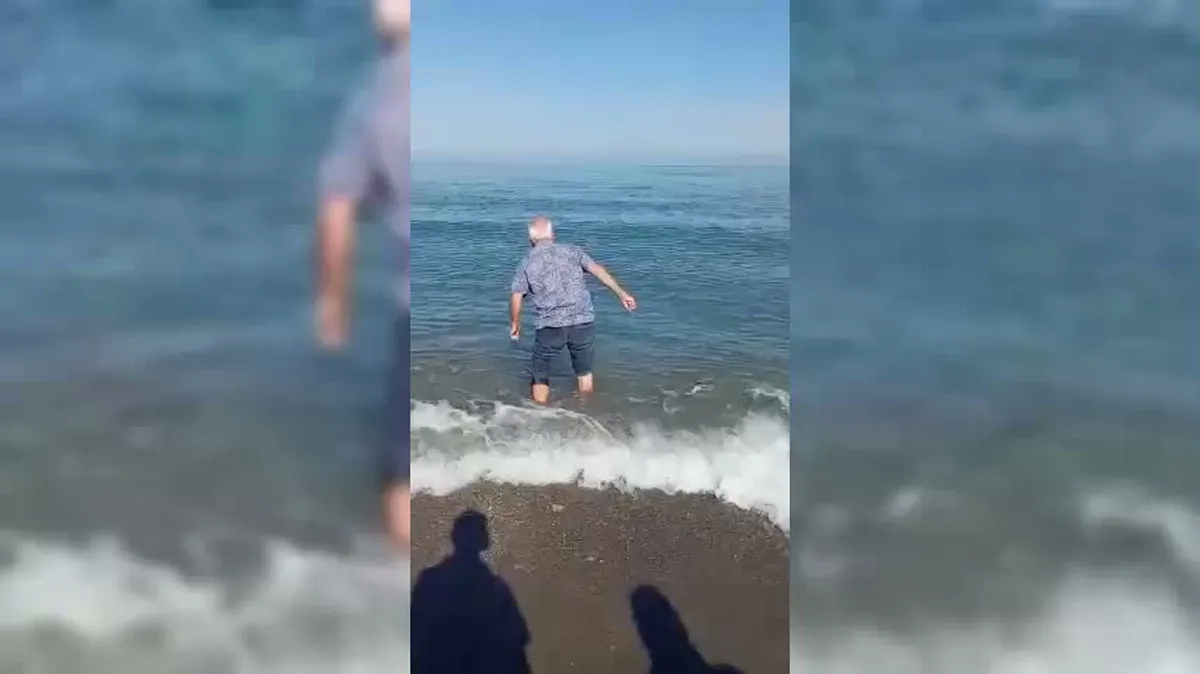 Sinop'un Türkeli ilçesinde kıyıya vuran yunus denize geri bırakıldı
