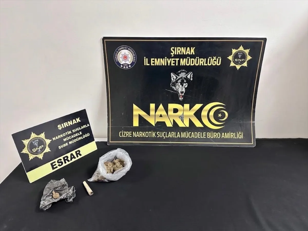 Şırnak'ta düzenlenen kaçakçılık operasyonlarında 14 kişi hakkında işlem yapıldı