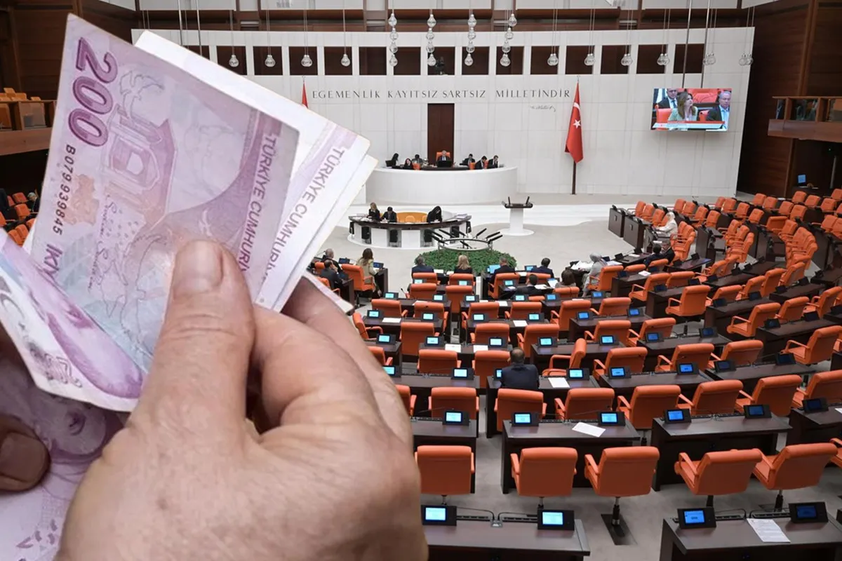 Tasfiyesine karar verilen fonlar için yeni düzenleme Resmi Gazete'de