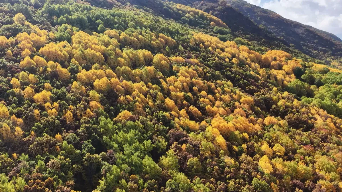Tunceli Pülümür Vadisi'ndeki yüksek gerilim hattı çalışmalarına tepki