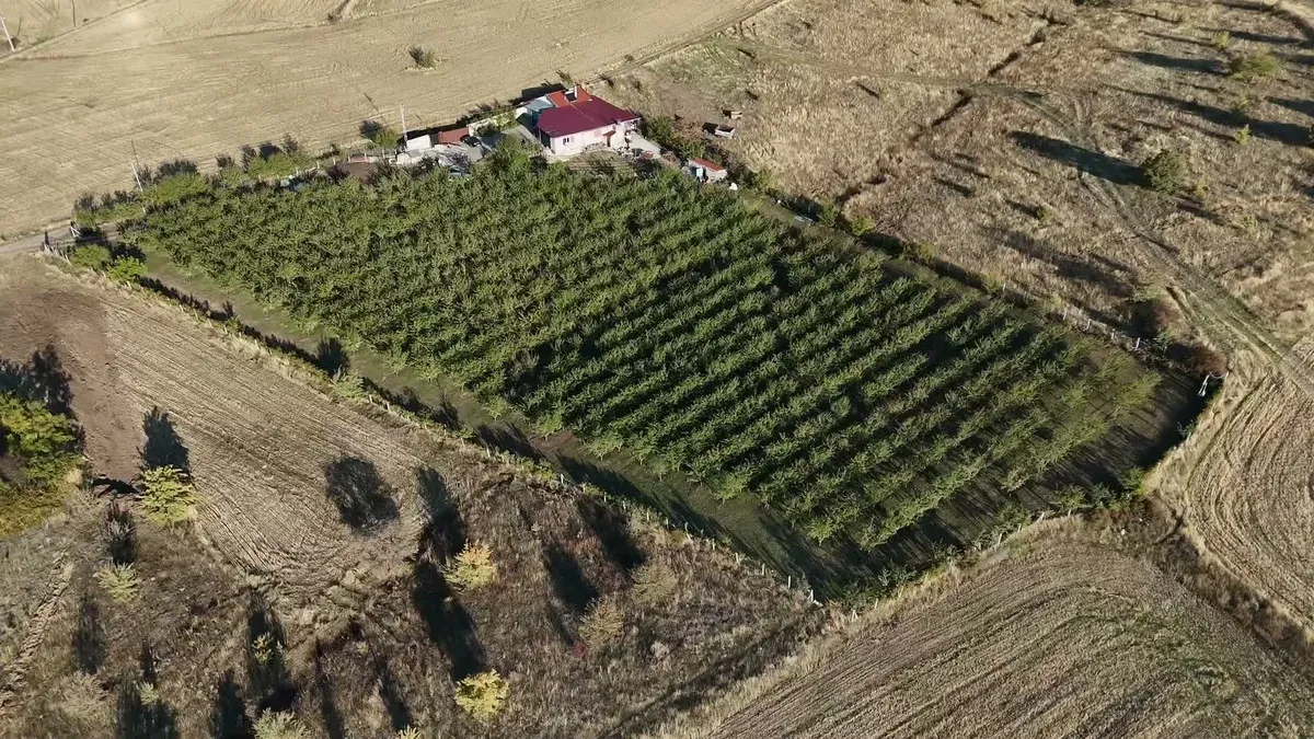 Yozgatlı gurbetçi Hasan Sidal 350 bin avro yatırımla badem bahçesi kurdu