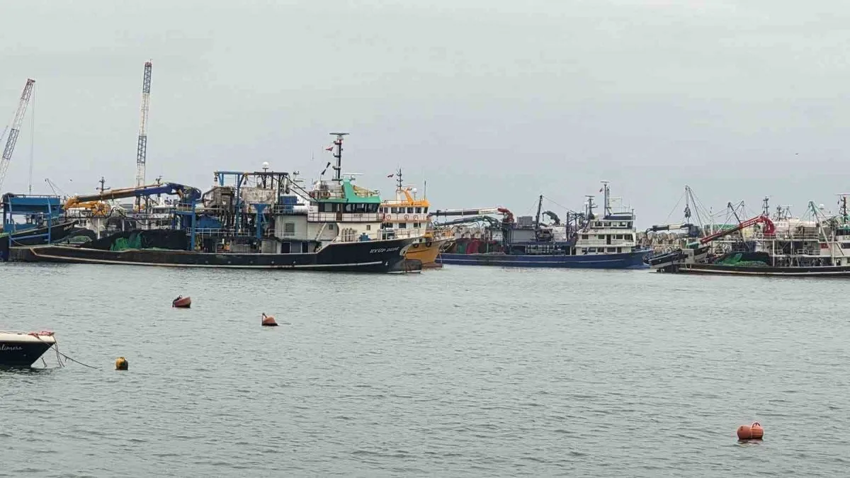 Zonguldak Ereğli'de fırtına balıkçıları limana dönmeye zorladı