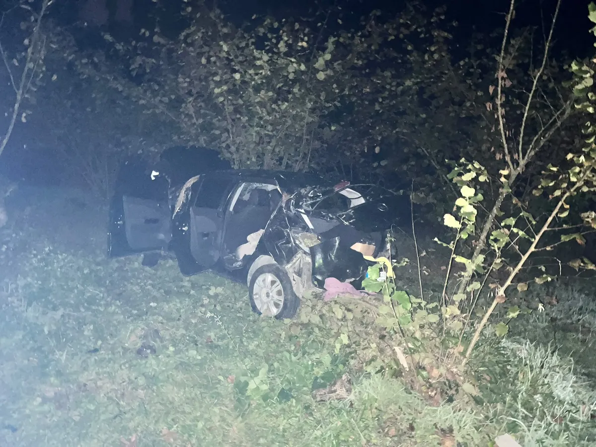 Zonguldak Ereğli'de otomobil 30 metre yükseklikten fındık bahçesine uçtu: 4 yaralı